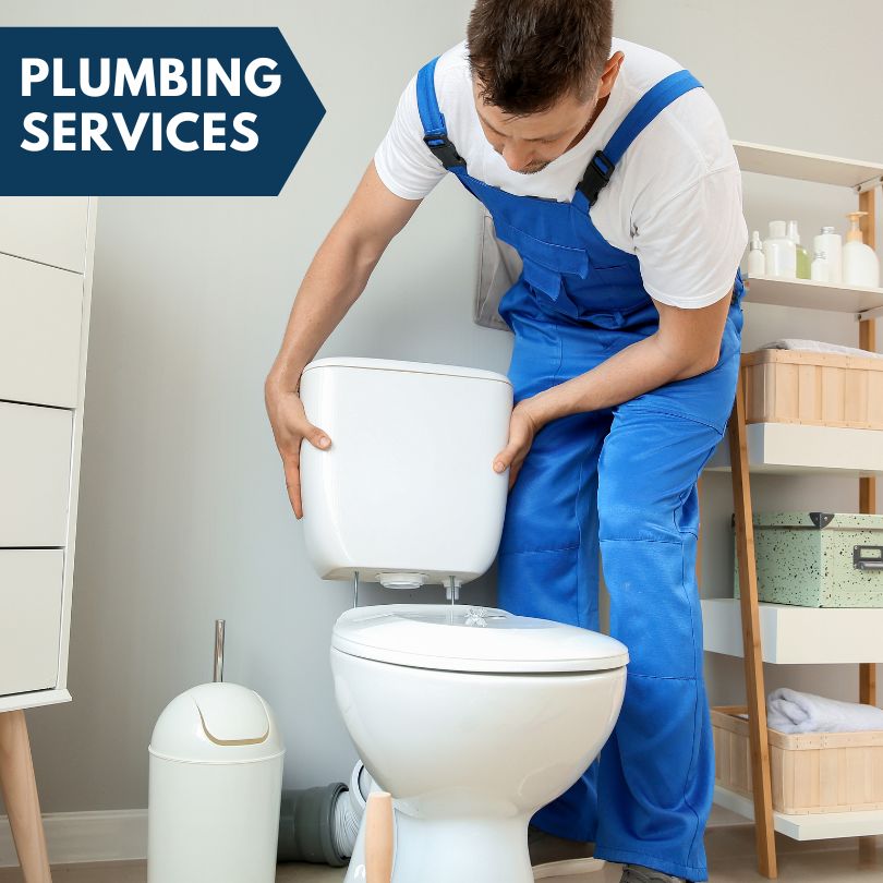 Plumbing Company in Crystal Lake, IL
